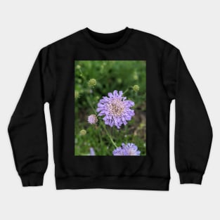 Purple Wispy Flower Photographic Image Crewneck Sweatshirt